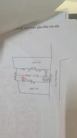 Bất động sản tại Đà Nẵng - ảnh 1