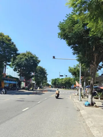 Bất động sản tại Đà Nẵng - ảnh 1