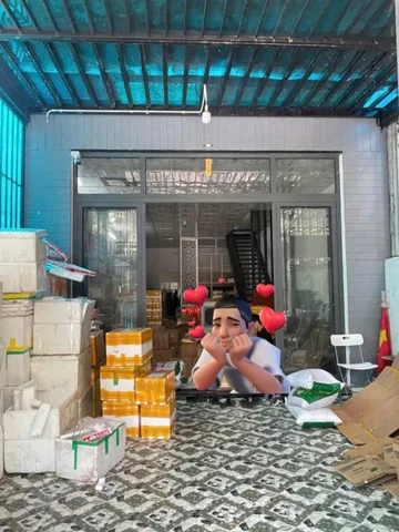Bất động sản tại Đà Nẵng - ảnh 1