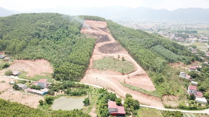 Bất động sản tại Bắc Ninh - ảnh 1