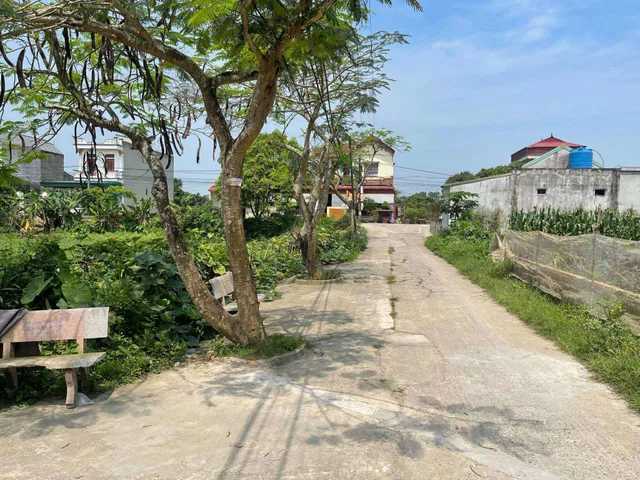 Bất động sản tại Nam Định - ảnh 1