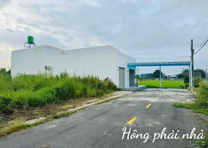 Bất động sản tại Long An - ảnh 1