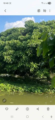 Bất động sản tại Cần Thơ - ảnh 1