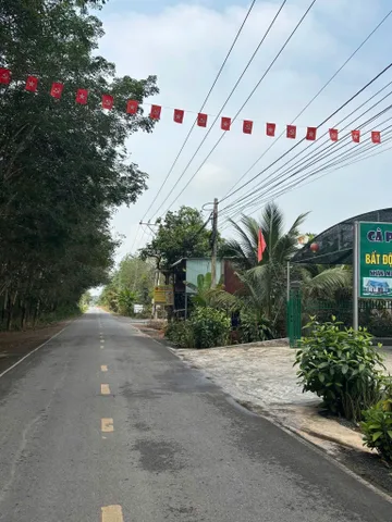 Bất động sản tại Bình Dương - ảnh 1