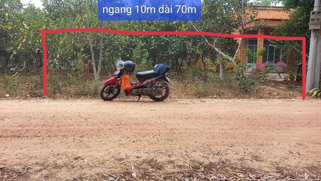 Bất động sản tại Tây Ninh - ảnh 1