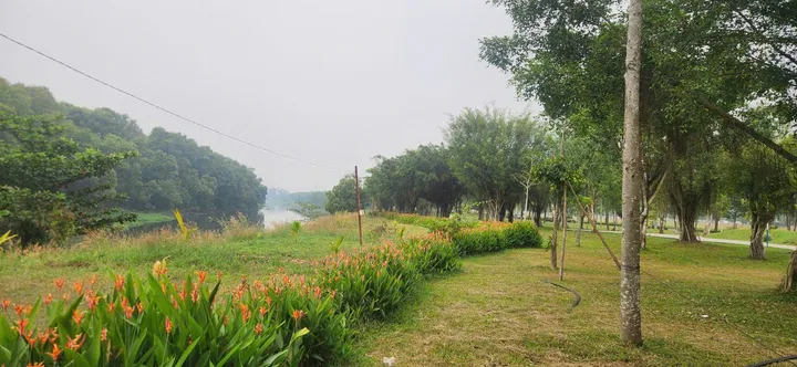 Bất động sản tại Bình Dương - ảnh 1