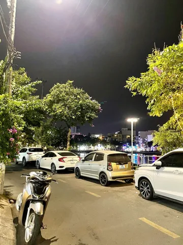 Bất động sản tại Đà Nẵng - ảnh 1
