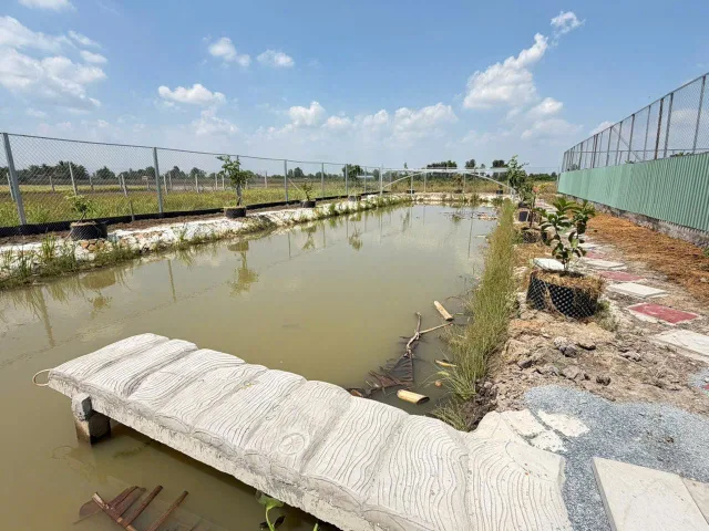 Bất động sản tại Long An - ảnh 1