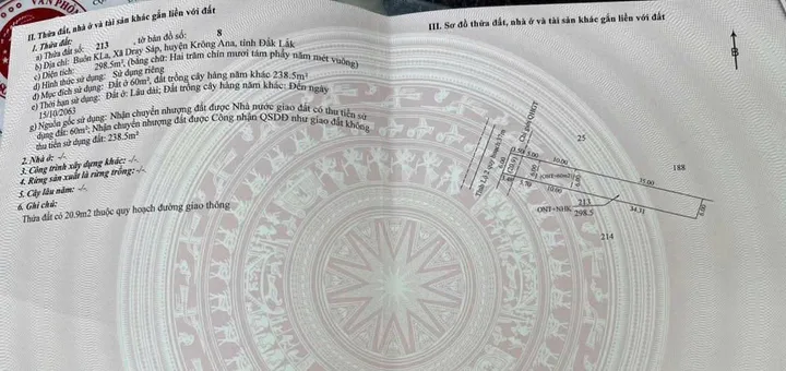 Bất động sản tại Đắk Lắk - ảnh 1