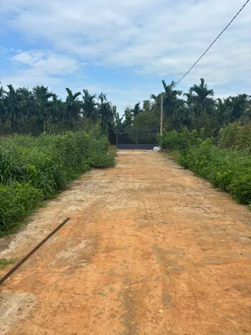 Bất động sản tại Đắk Lắk - ảnh 1