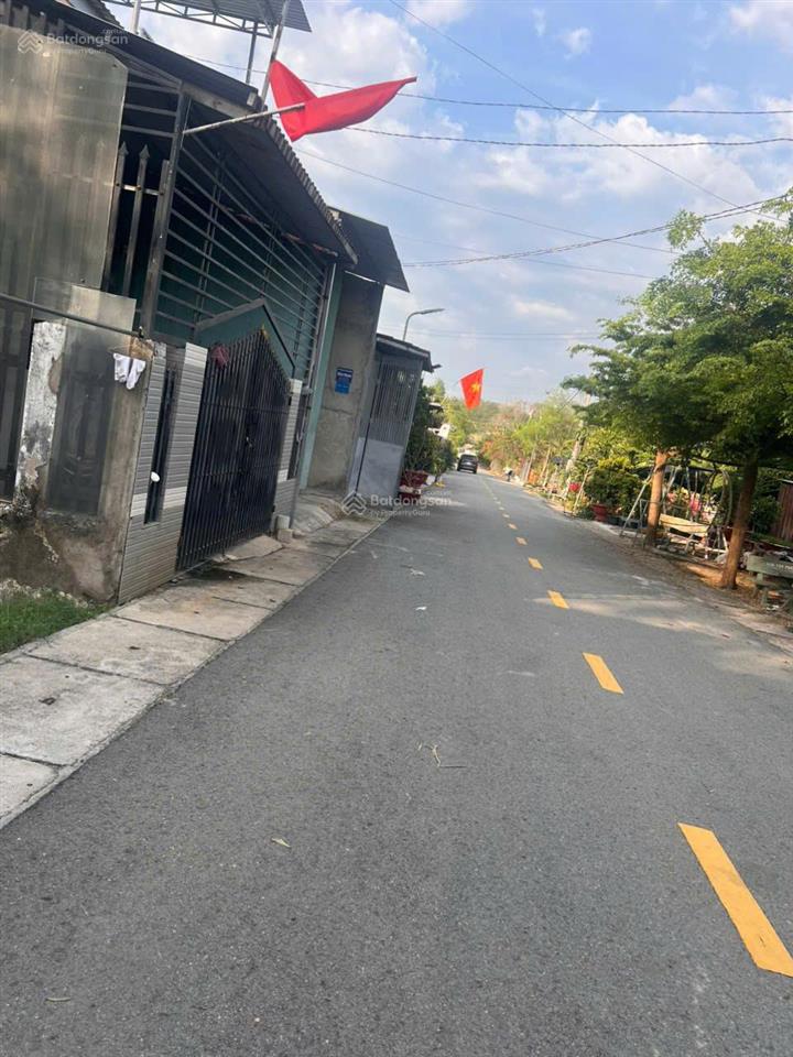 Bất động sản tại Bình Dương - ảnh 1