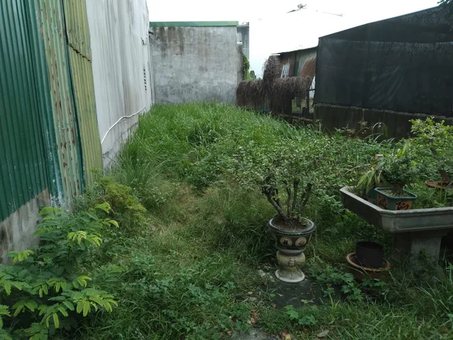 Bất động sản tại Quảng Ngãi - ảnh 1