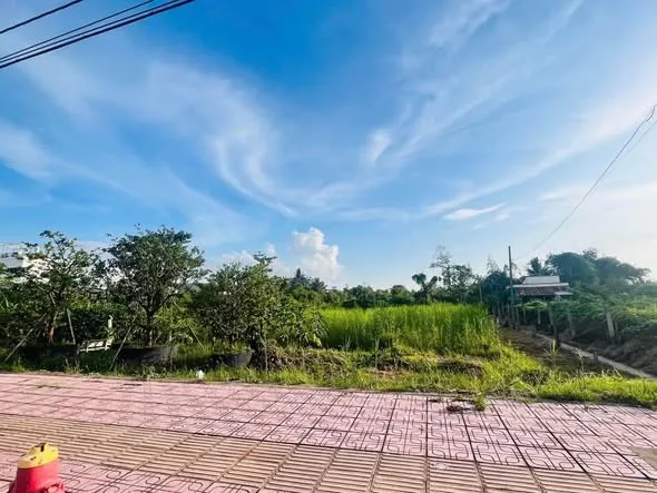 Bất động sản tại Vĩnh Long - ảnh 1