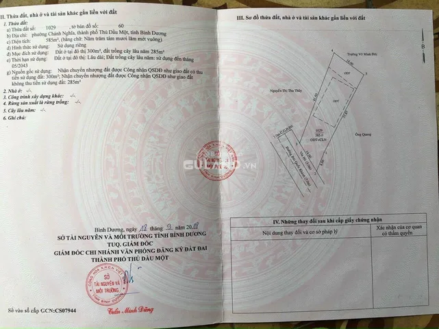 Bất động sản tại Bình Dương - ảnh 1