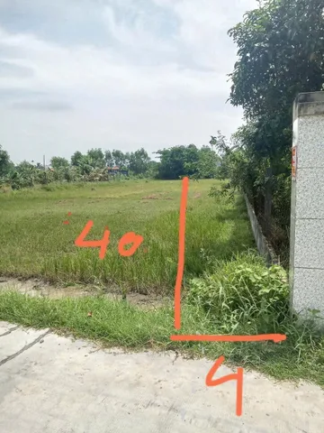 Bất động sản tại Tây Ninh - ảnh 1