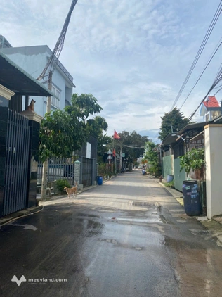 Bất động sản tại Bình Dương - ảnh 1
