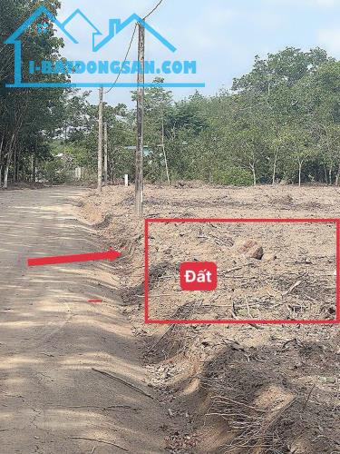 Bất động sản tại Bình Phước - ảnh 1