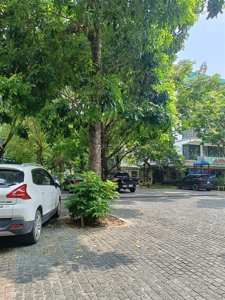 Bất động sản tại Hưng Yên - ảnh 1