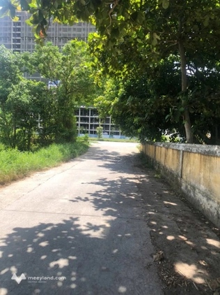 Bất động sản tại Thừa Thiên Huế - ảnh 1