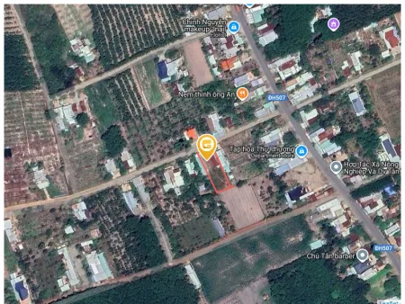 Bất động sản tại Bình Dương - ảnh 1