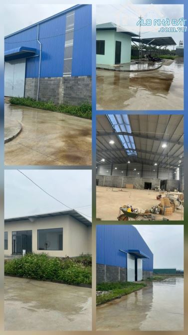 Bất động sản tại Đắk Lắk - ảnh 1