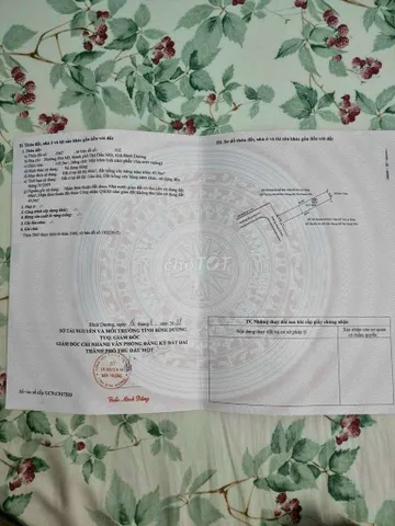 Bất động sản tại Bình Dương - ảnh 1