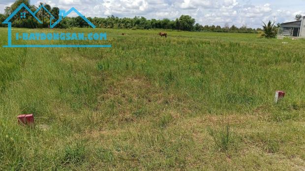 Bất động sản tại Tây Ninh - ảnh 1