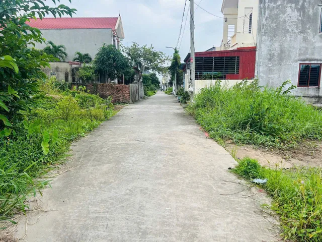 Bất động sản tại Hải Phòng - ảnh 1