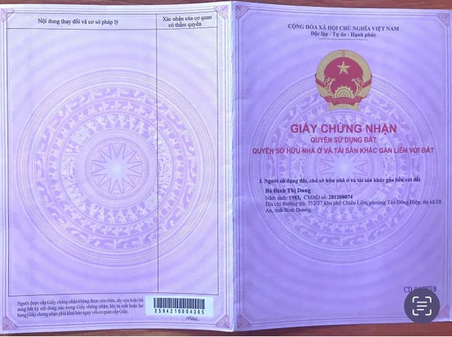 Bất động sản tại Bình Dương - ảnh 1