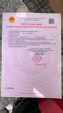 Bất động sản tại Bình Dương - ảnh 1