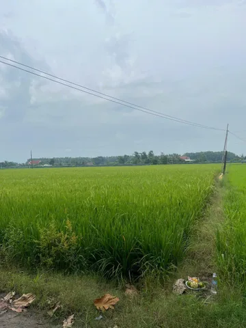 Bất động sản tại Tây Ninh - ảnh 1