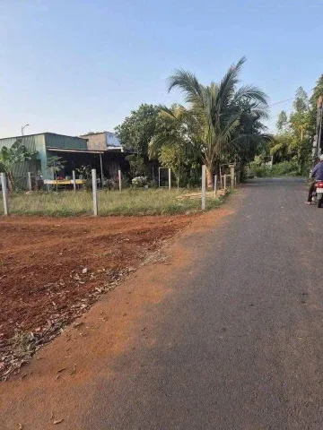 Bất động sản tại Bà Rịa - Vũng Tàu - ảnh 1