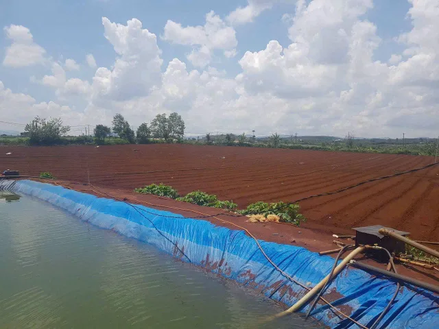 Bất động sản tại Lâm Đồng - ảnh 1