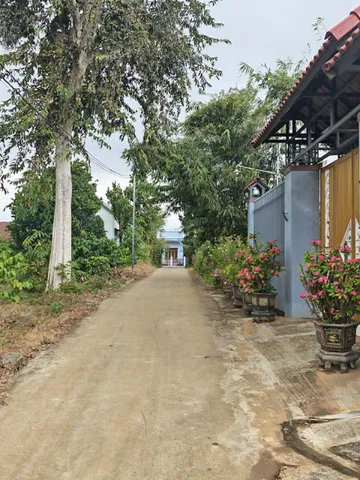 Bất động sản tại Đắk Lắk - ảnh 1