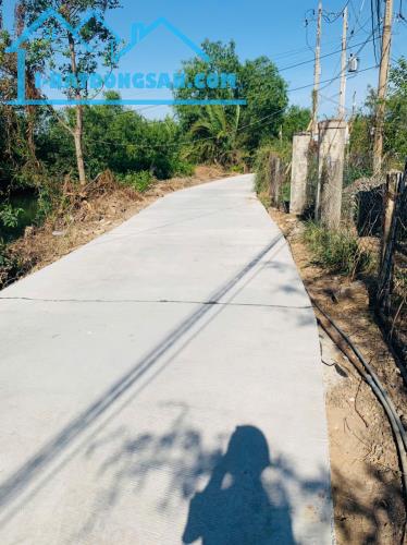Bất động sản tại Long An - ảnh 1