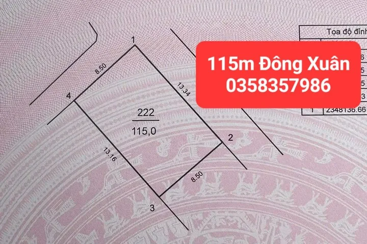 Bất động sản tại Hà Nội - ảnh 1