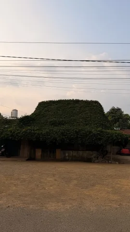 Bất động sản tại Lâm Đồng - ảnh 1