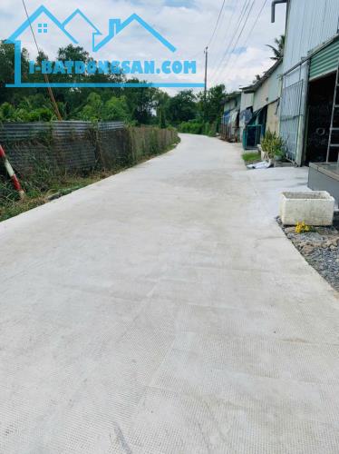 Bất động sản tại Long An - ảnh 1
