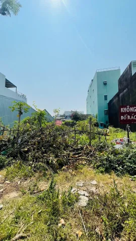 Bất động sản tại Đà Nẵng - ảnh 1
