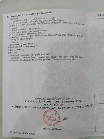 Bất động sản tại Bình Dương - ảnh 1