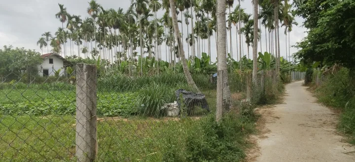 Bất động sản tại Quảng Ngãi - ảnh 1