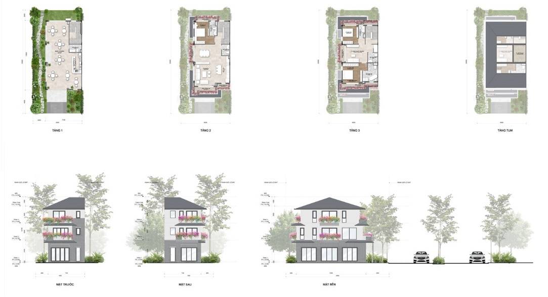 Bất động sản tại Tây Ninh - ảnh 1