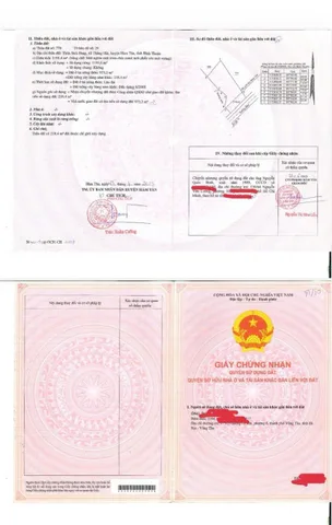 Bất động sản tại Lâm Đồng - ảnh 1