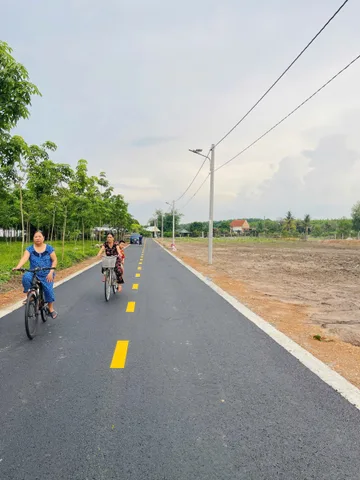 Bất động sản tại Bình Dương - ảnh 1