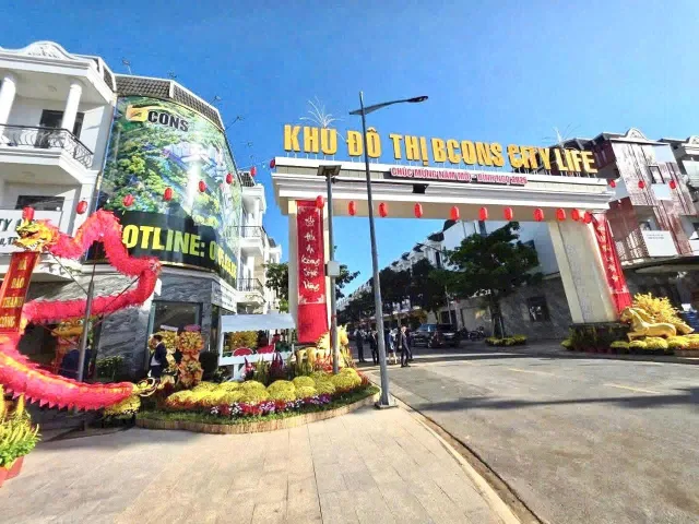Bất động sản tại Bình Dương - ảnh 1
