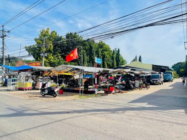 Bất động sản tại Bình Dương - ảnh 1