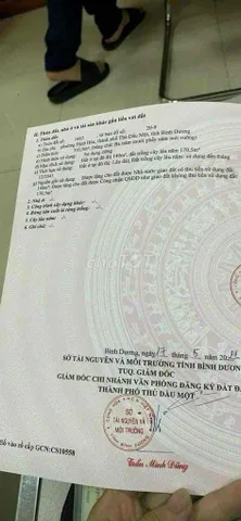 Bất động sản tại Bình Dương - ảnh 1