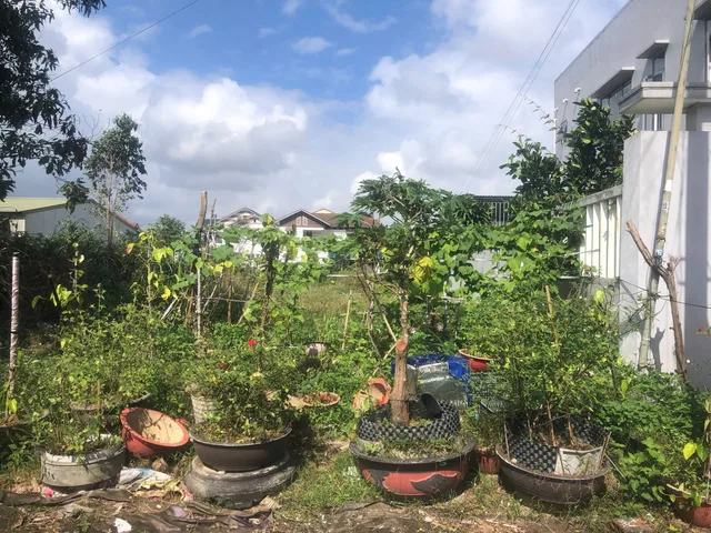 Bất động sản tại Thừa Thiên Huế - ảnh 1