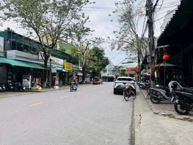 Bất động sản tại Quảng Ngãi - ảnh 1