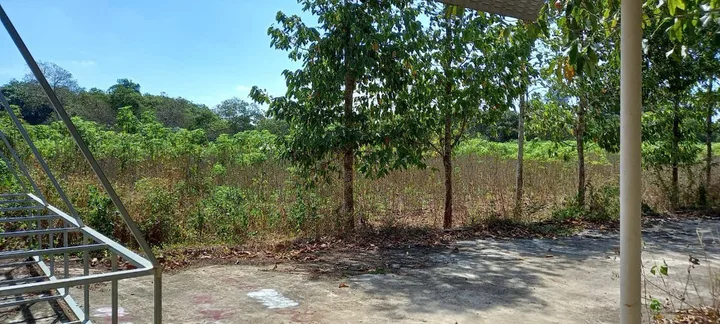 Bất động sản tại Bà Rịa - Vũng Tàu - ảnh 1